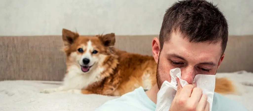 Dogs with allergies