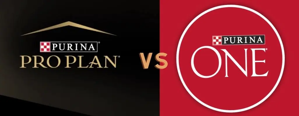 Purina one vs Purina pro plan