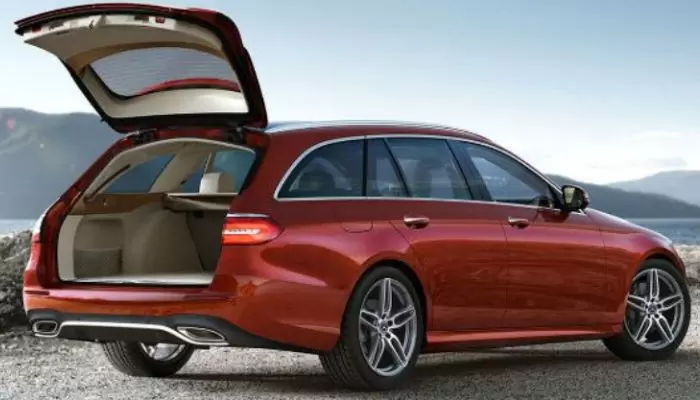 Mercedes-Benz E-Class Wagon for dog