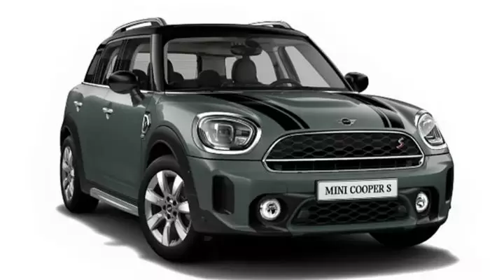 Mini Cooper Countryman for dog