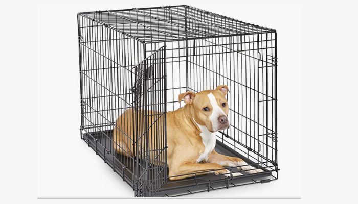 Best Dog Crates for Yorkies and Small Dogs