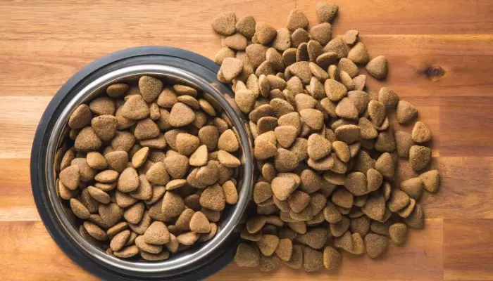 is Dry Kibble Bad for my Dog