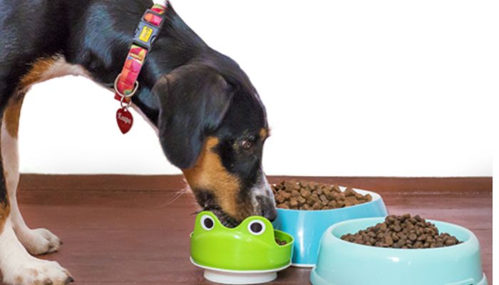 Can I mix two dry foods together for my pet