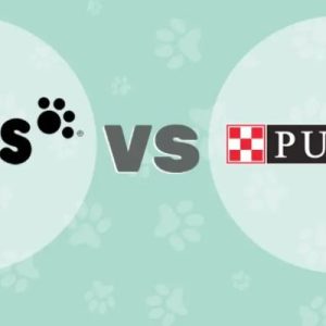IAMS vs Purina Cat Food: A Comprehensive Review