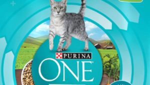 is purina one a good cat food