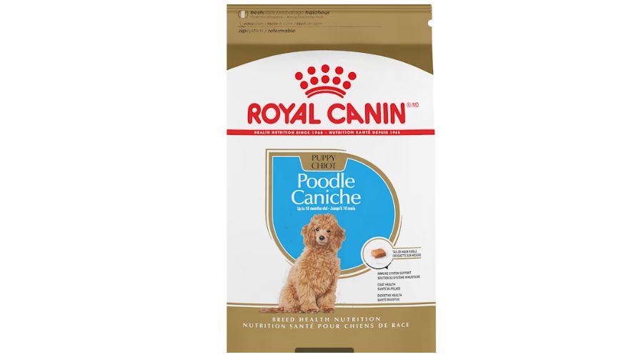 Why Do Vets Recommend Royal Canin