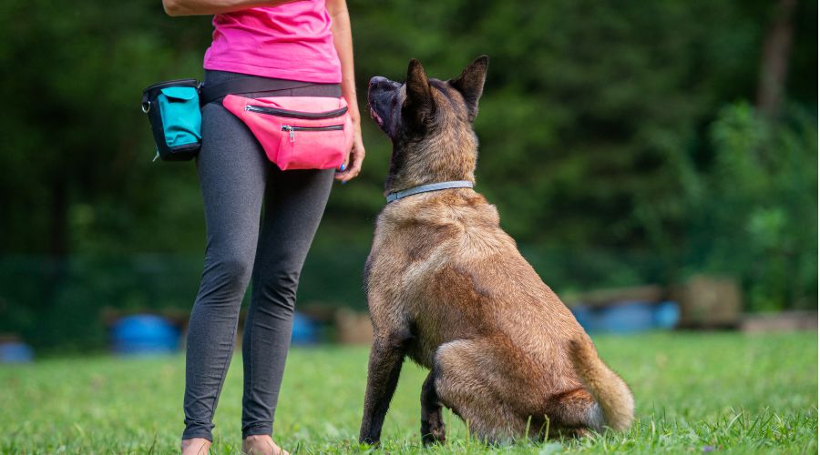 women asking dog to sit