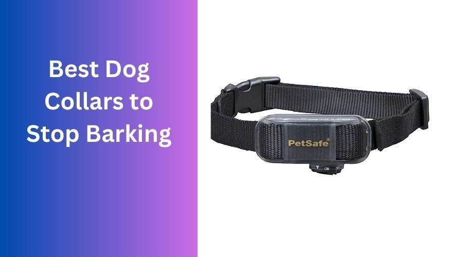 5 Best Dog Collars To Stop Barking (Our Top Picks)