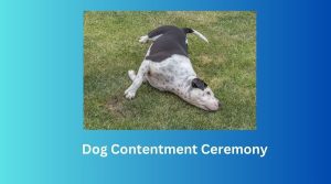 Dog Contentment Ceremony