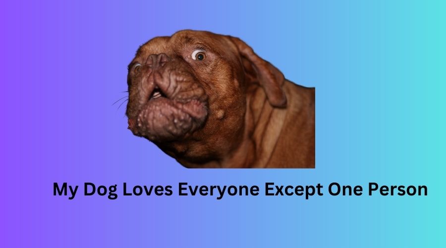 My Dog Loves Everyone Except One Person