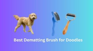 best dematting brush for doodles