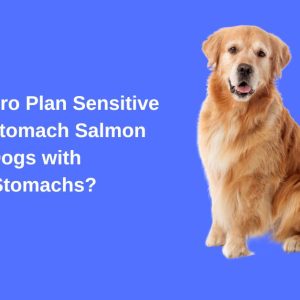 Is Purina Pro Plan Sensitive Skin and Stomach Salmon Good for Dogs with Sensitive Stomachs?