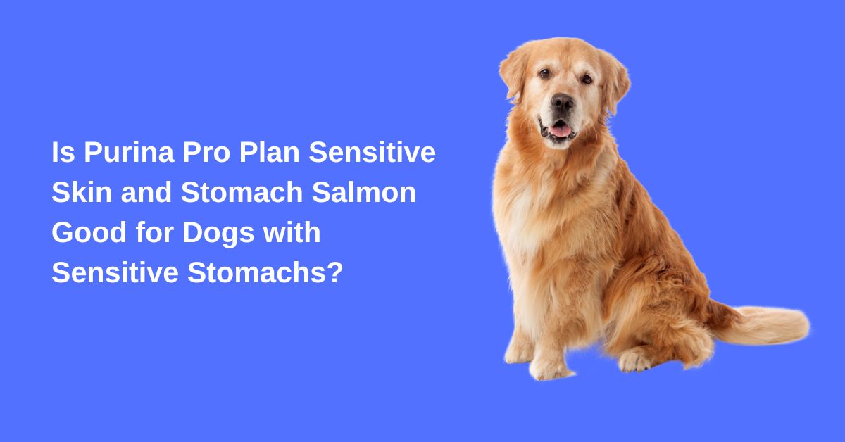 Is Purina Pro Plan Sensitive Skin And Stomach Salmon Good For Dogs With ...