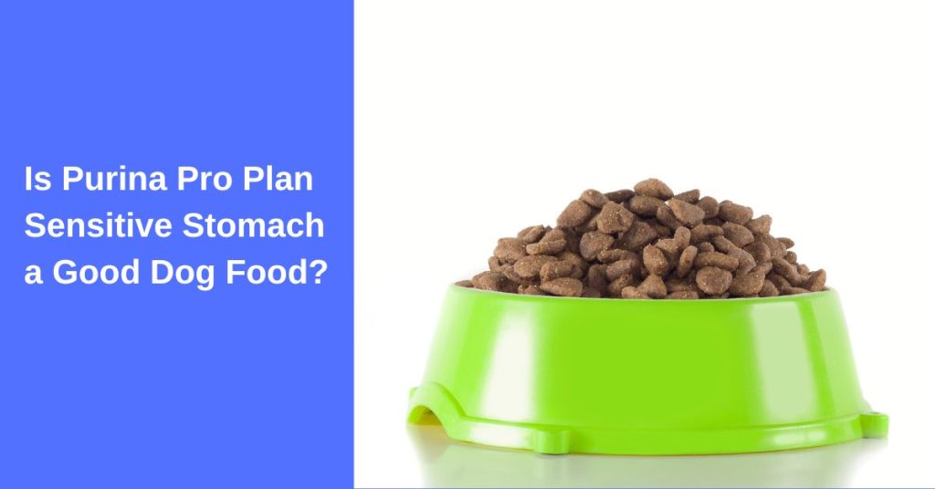 Is Purina Pro Plan Sensitive Stomach a Good Dog Food