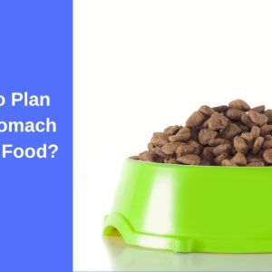 Is Purina Pro Plan Sensitive Stomach a Good Dog Food?