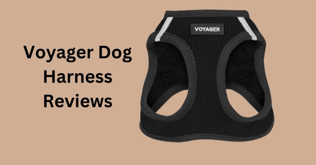 Voyager Dog Harness Reviews